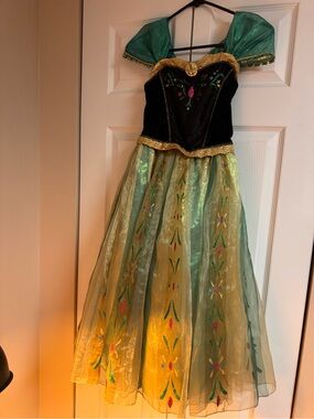Girls Green and Black Princess Costume Dress with shoes!